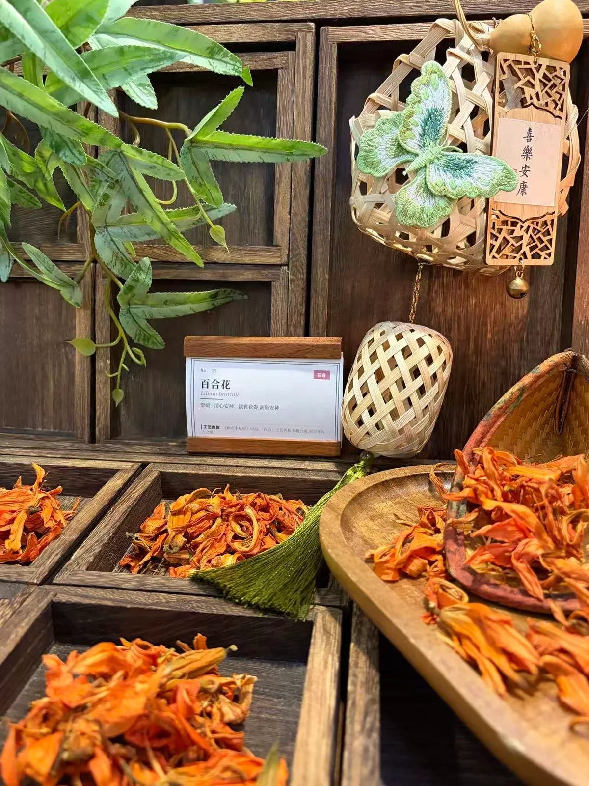 Lily Flower Herb from Hunan & Zhejiang — Traditional Ornamental & Aromatic Use, Soft Warm Floral Scent