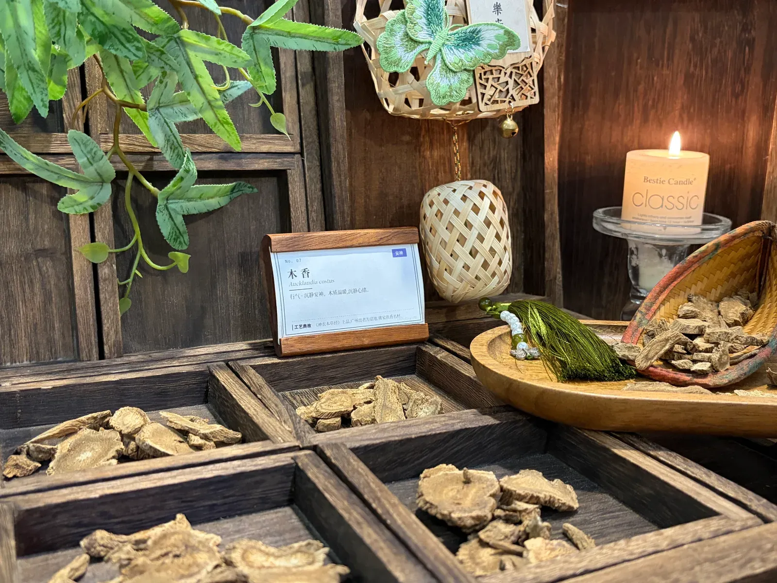 Costus Root | Traditional Chinese Aromatic Root | Warm Spicy Depth
