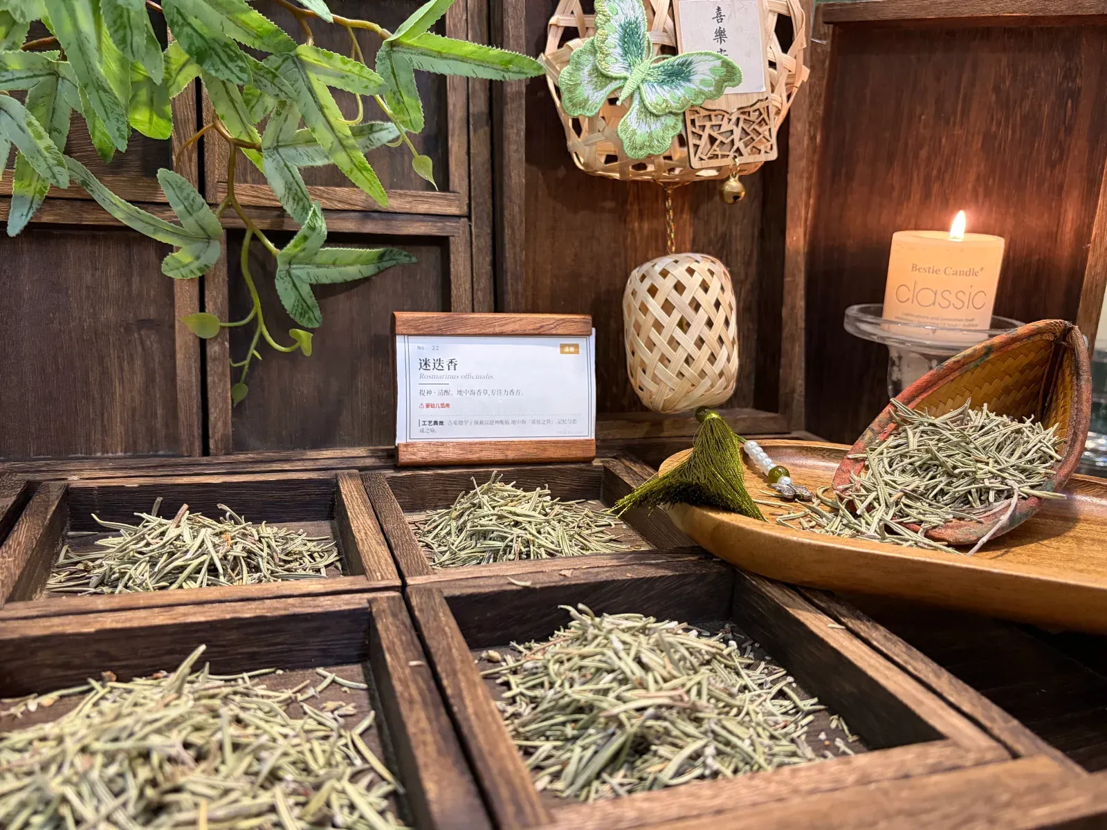 Yunnan Rosemary Dried Herb | Mediterranean Aromatic Culinary Herb