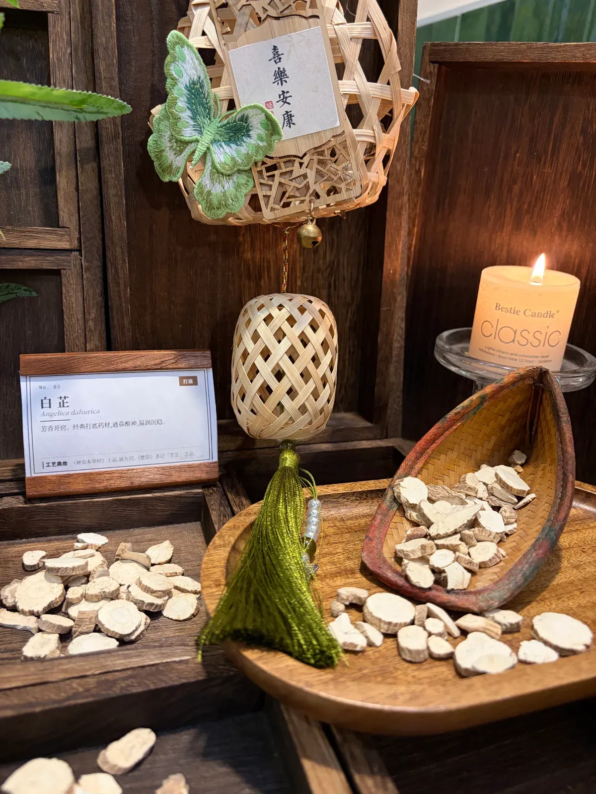 Angelica Root | Dao-di Aromatic Herb from Zhejiang & Sichuan, Base of Ancient Chinese Incense Formulas