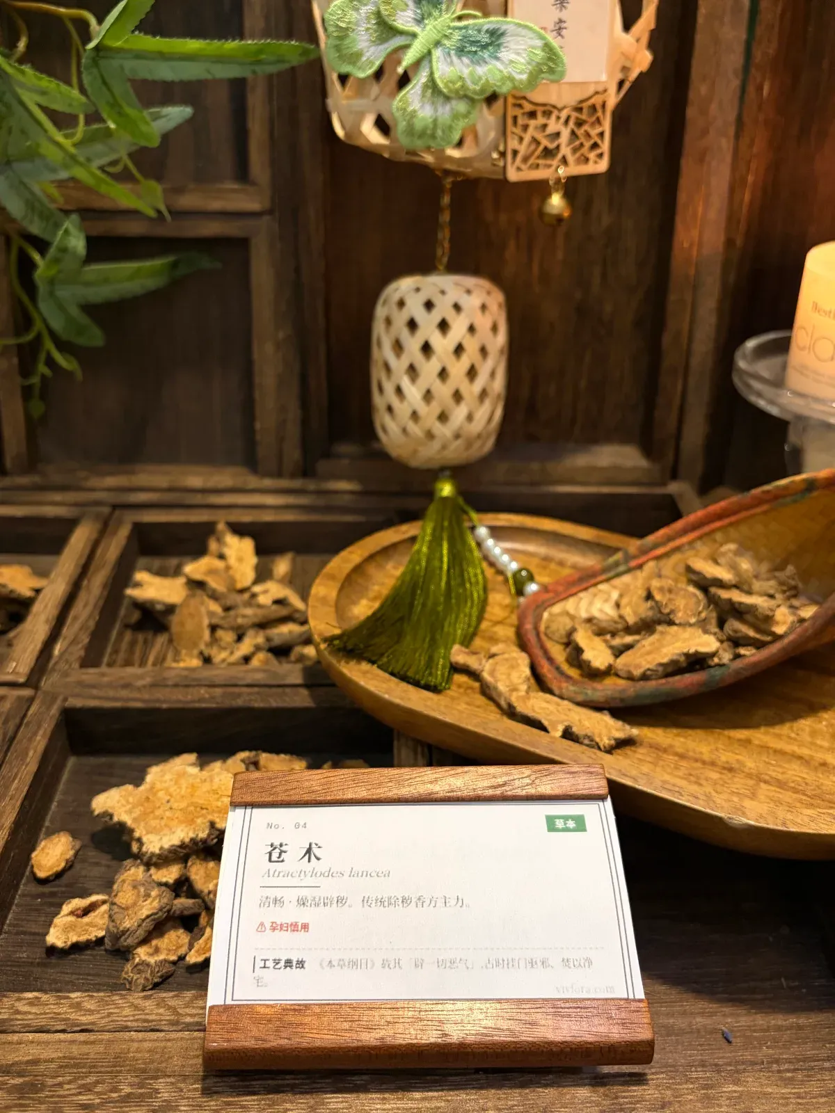 Atractylodes Rhizome | Traditional Northern Chinese Incense Herb