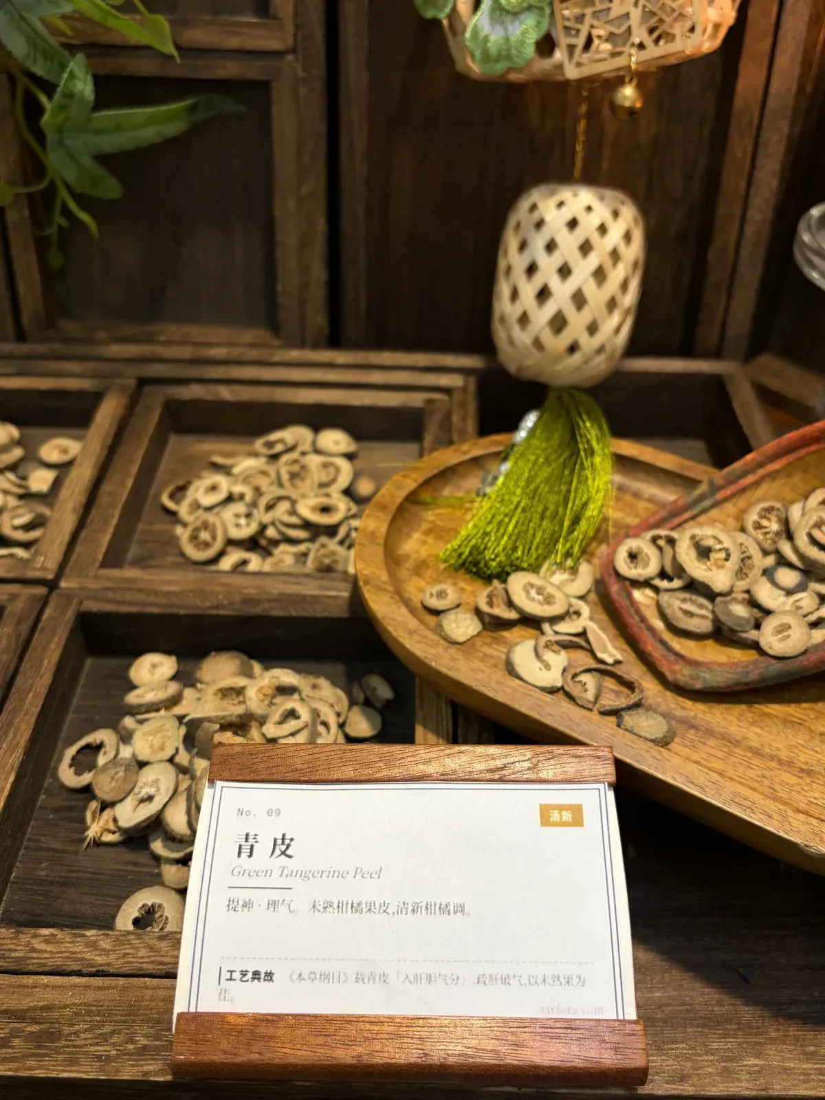 Green Tangerine Peel (Qing Pi) — Unripe Citrus Peel for Aromatic Use