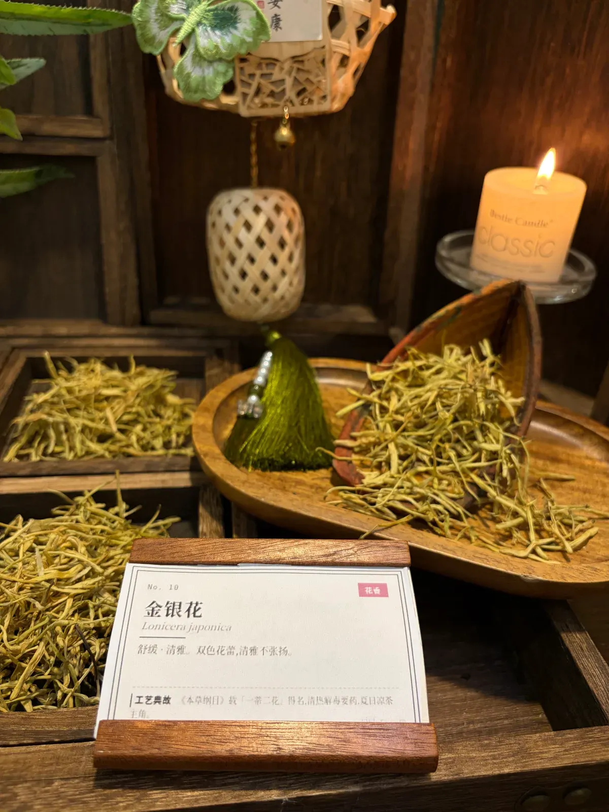 Honeysuckle Flower | Traditional Chinese Herbal Floral Material from Shandong & Henan