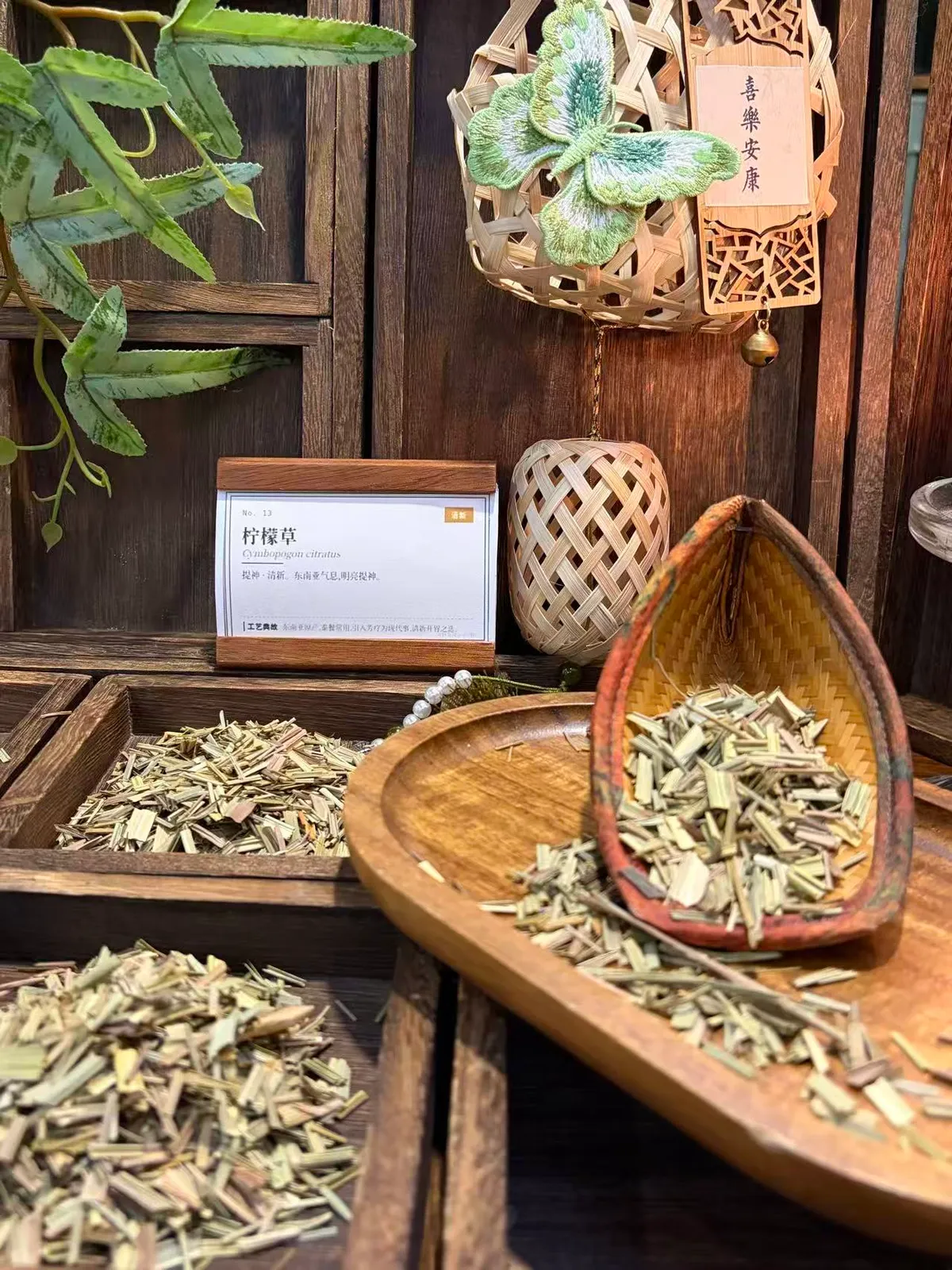 Lemongrass | Fresh Citrus Herb from Southern China