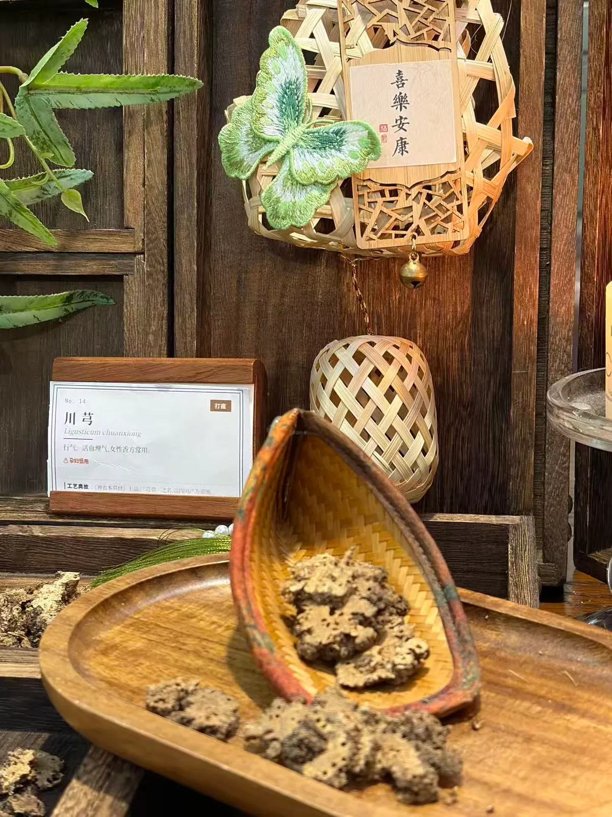 Ligusticum Chuanxiong Rhizome – Sichuan Dujiangyan Regional Herb, Traditional Aromatic Root
