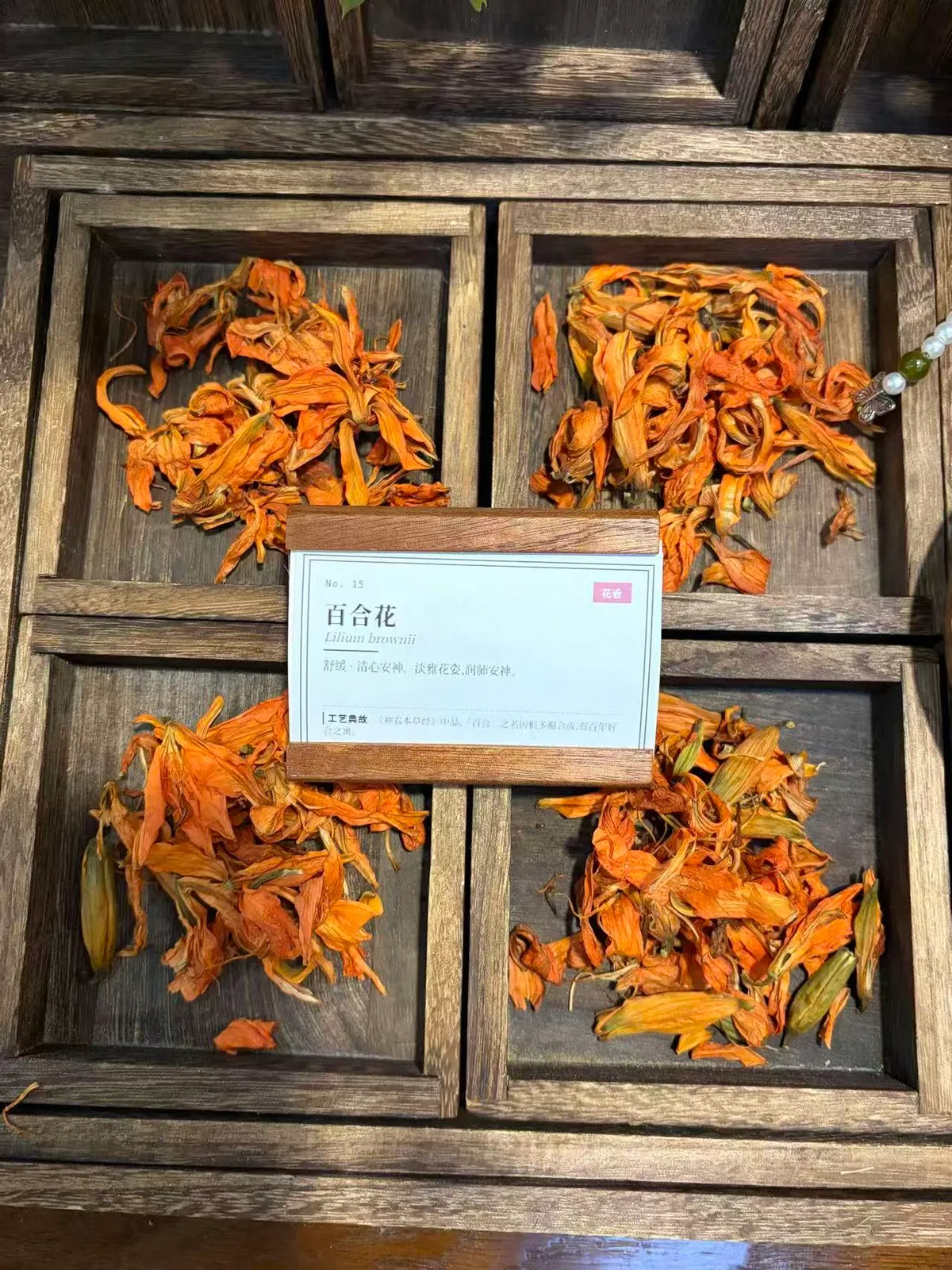 Lily Flower Herb from Hunan & Zhejiang — Traditional Ornamental & Aromatic Use, Soft Warm Floral Scent
