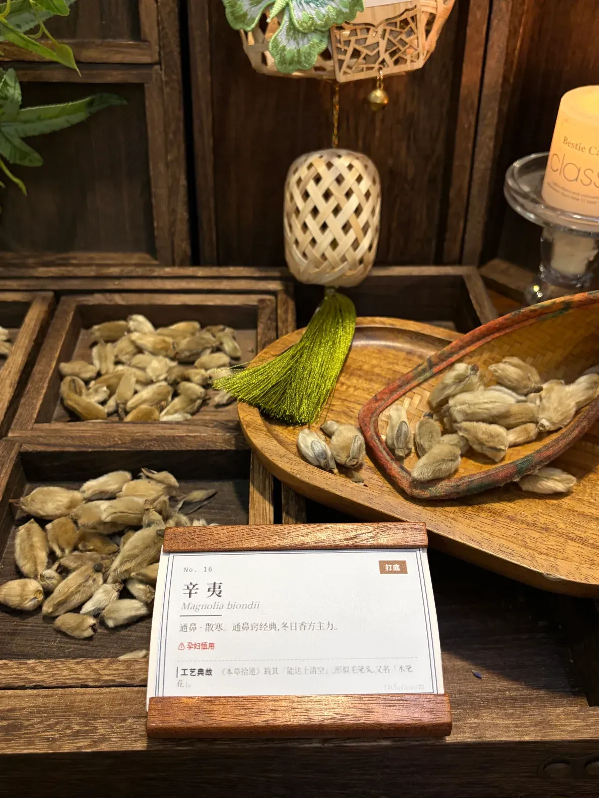 Xinyi Magnolia Bud | Traditional Chinese Herbal Flower Bud from Henan & Hubei