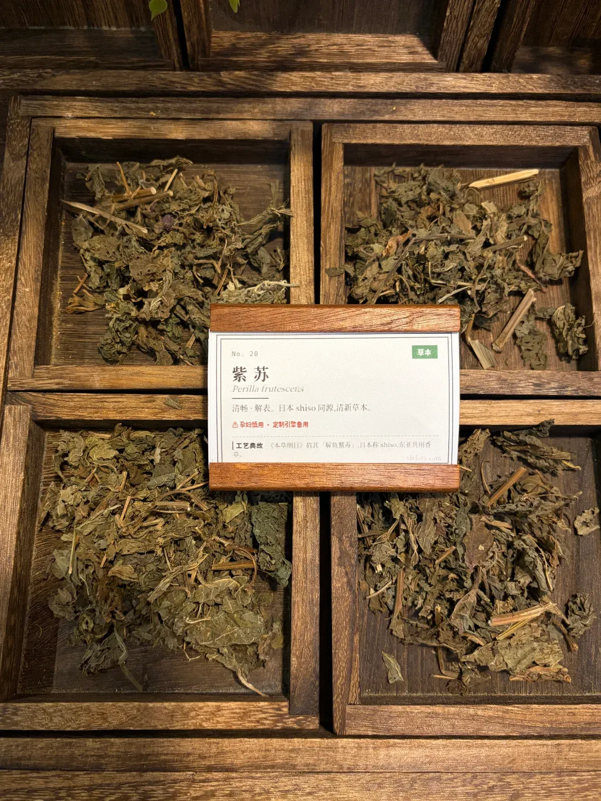 Perilla Leaf | Culinary & Herbal Aromatic Herb