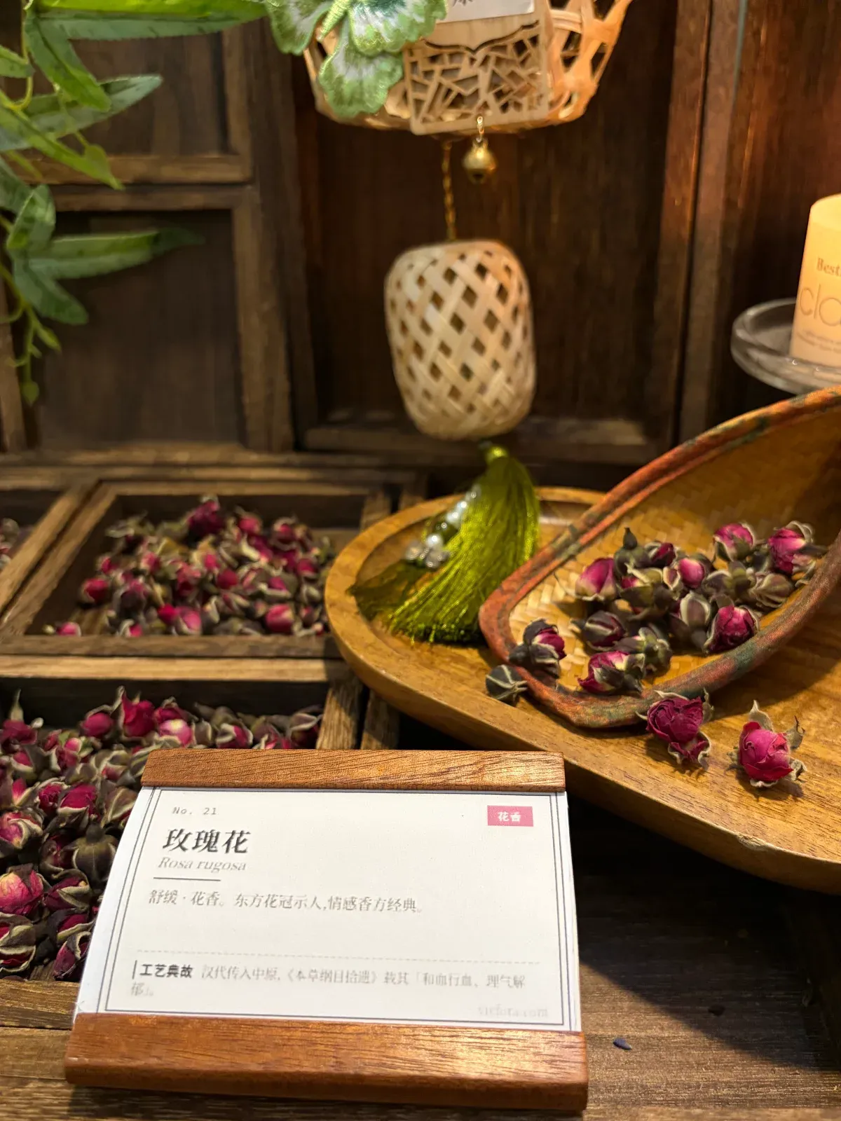 Pingyin & Kushui Rose | Core Floral Note Ingredient
