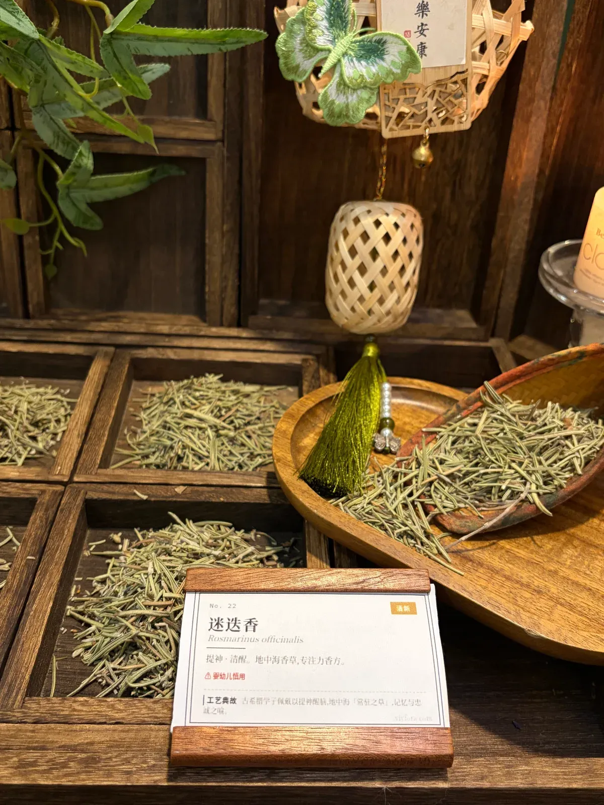 Yunnan Rosemary Dried Herb | Mediterranean Aromatic Culinary Herb