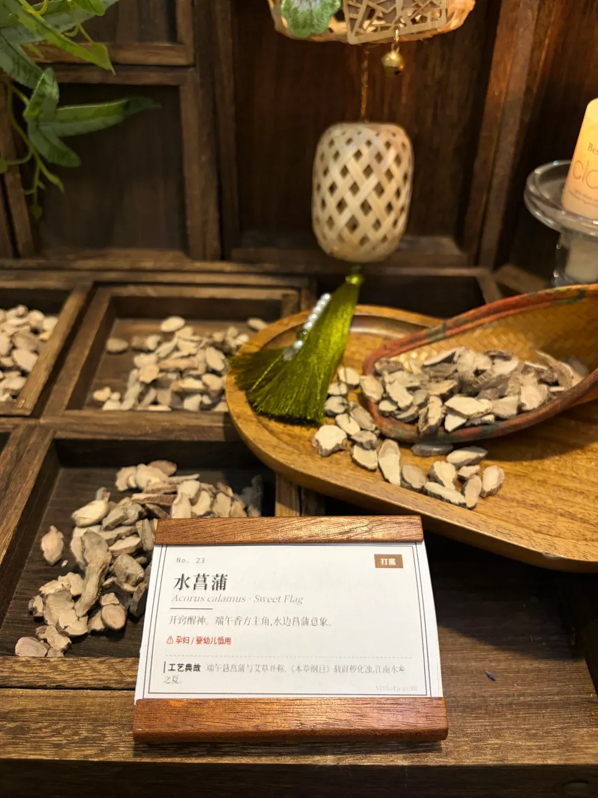 Sweet Flag Rhizome | Traditional Chinese Aromatic Herb