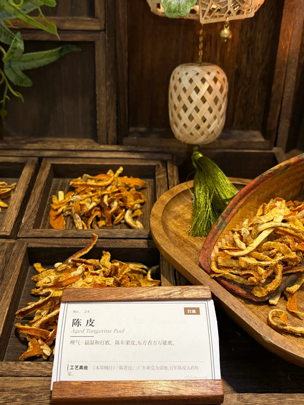 Xinhui Chenpi — Aged Tangerine Peel from Guangdong, China